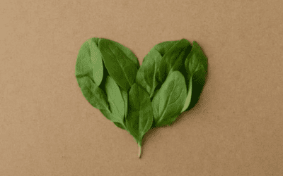 Saint-Valentin écolo : célébrez l&rsquo;amour avec simplicité et respect